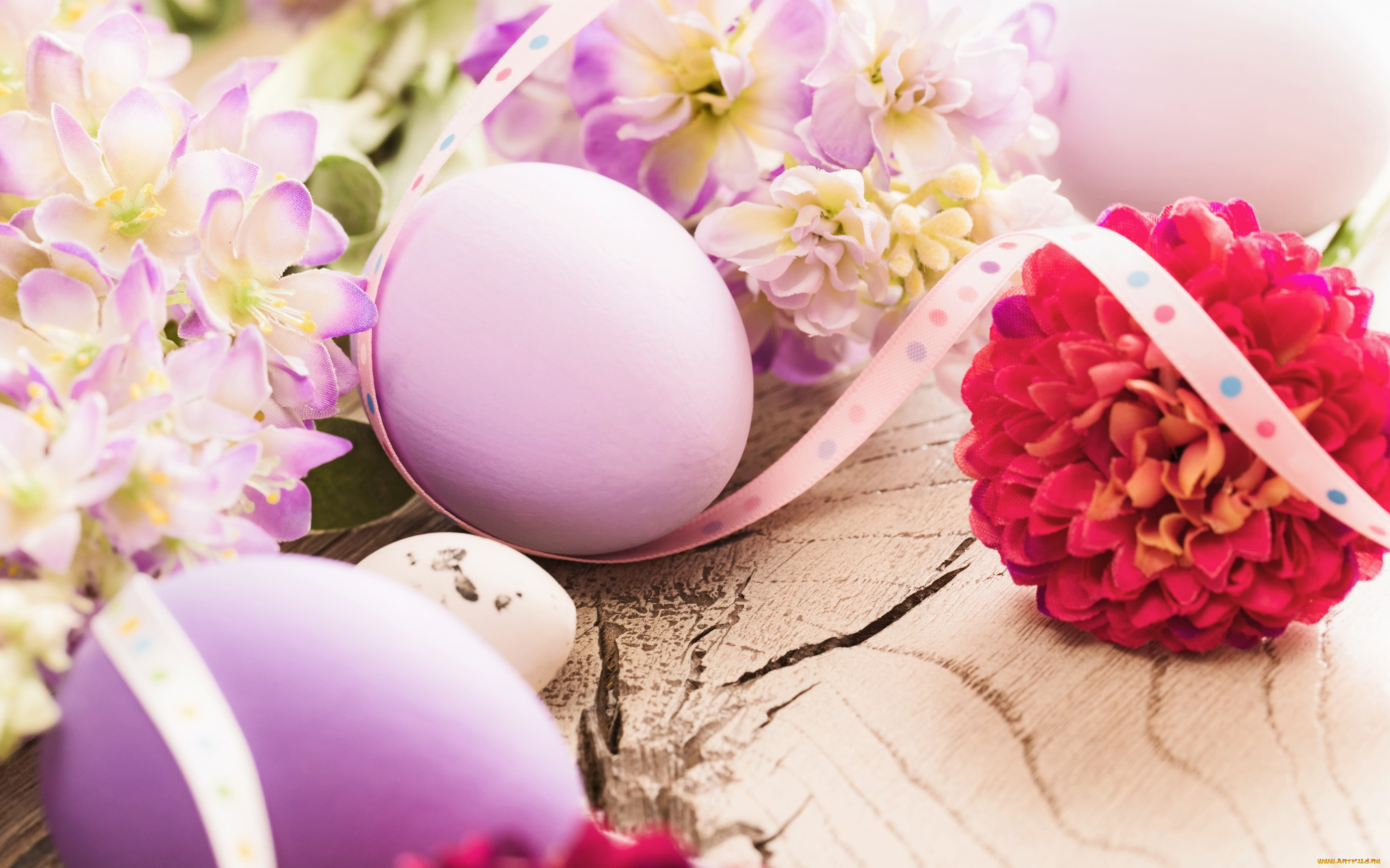 , , easter, , , flowers, spring, , decoration, eggs, happy